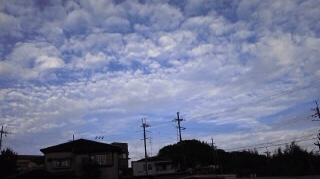 c0229500_1733584.jpg