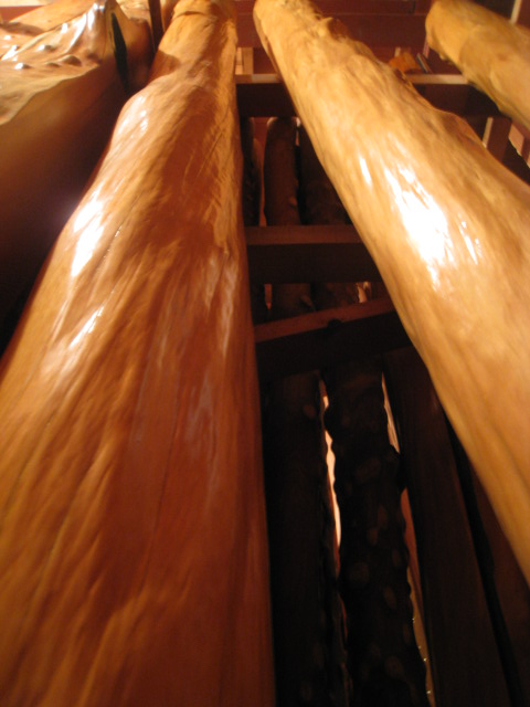 b0172502_1512822.jpg
