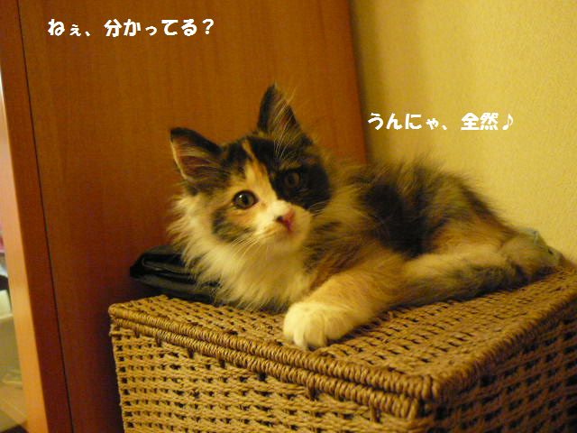 e0094407_033286.jpg