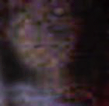 e0103408_1414287.gif