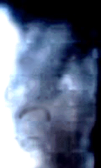 e0103408_14213674.gif