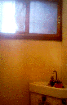 e0103408_14214541.gif