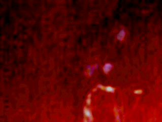 e0103408_2123336.gif