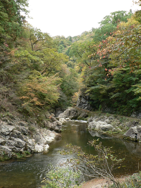 紅葉だより (4)_f0219710_7453861.jpg