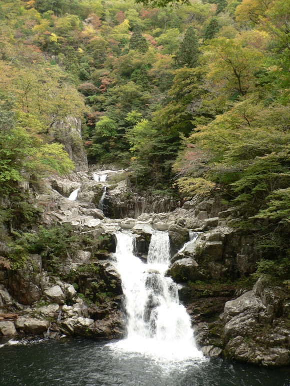 紅葉だより (4)_f0219710_7493731.jpg