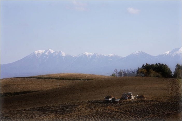 f0139911_20361761.jpg