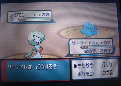 ポケモンBW、クマシュン配信ちゅうの件とポケモン日記_c0198213_0153621.jpg