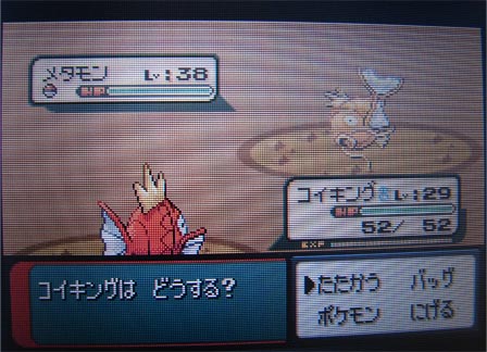 ポケモンBW、クマシュン配信ちゅうの件とポケモン日記_c0198213_0155676.jpg