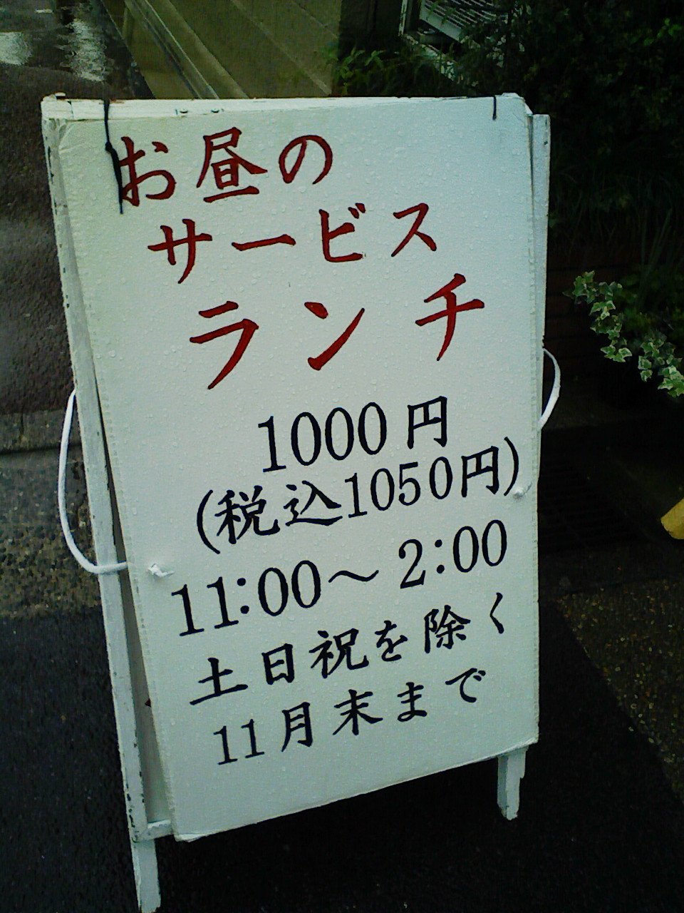 僕に似合わない昼食～カキフライ４食目_a0138219_8374238.jpg