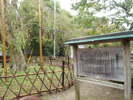 c0157523_943373.jpg