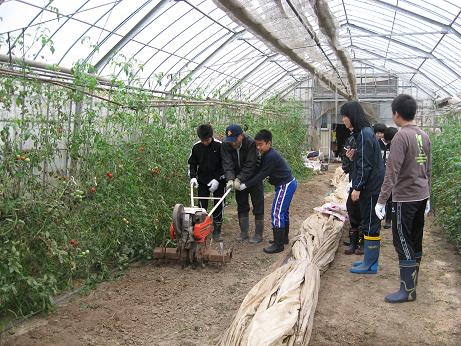 福井市成和中学校１年生の今立班_e0061225_19102910.jpg