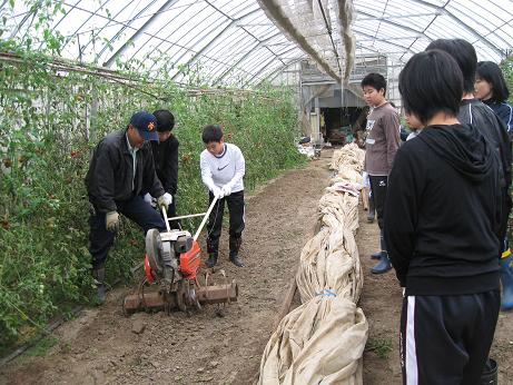 福井市成和中学校１年生の今立班_e0061225_1911641.jpg