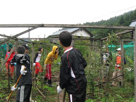 福井市成和中学校１年生の今立班_e0061225_19164154.jpg