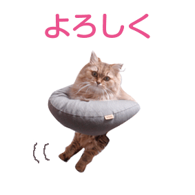 e0157129_19264849.gif