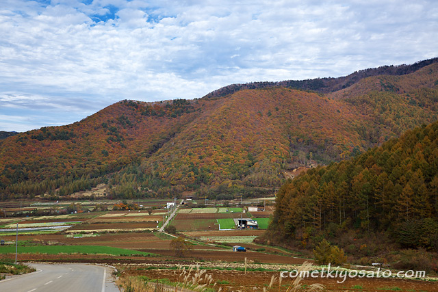 川上村と瑞牆山の紅葉_b0179231_23101674.jpg