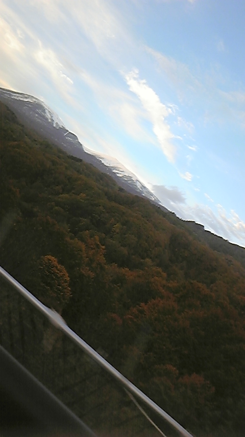 f0161333_18745.jpg