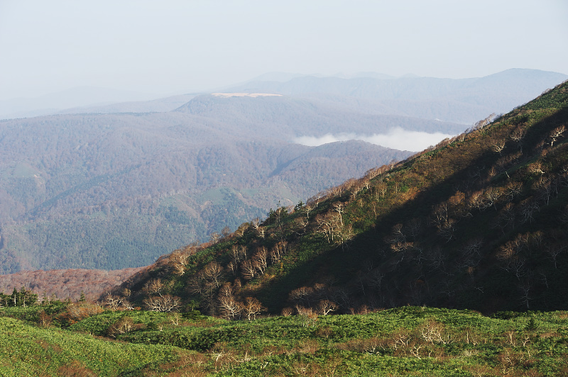 秋田 片倉岳ハイキング_c0211639_20543499.jpg