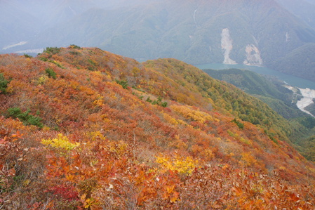 紅葉の三方岩岳（単独　彩里）_e0189446_2062647.jpg