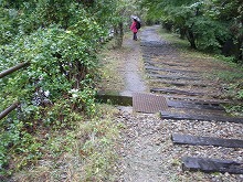 d0048350_14224965.jpg