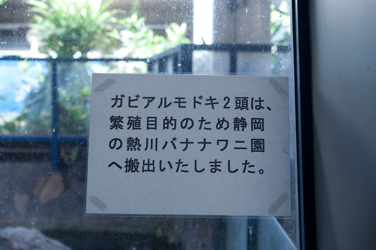 b0023856_69711.jpg