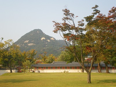 b0056570_1182824.jpg