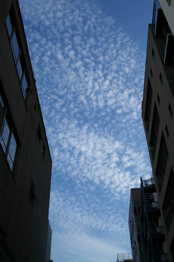 e0163776_1402266.jpg