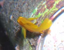 2010年10月29日(金) チャバ_b0137083_20462325.jpg