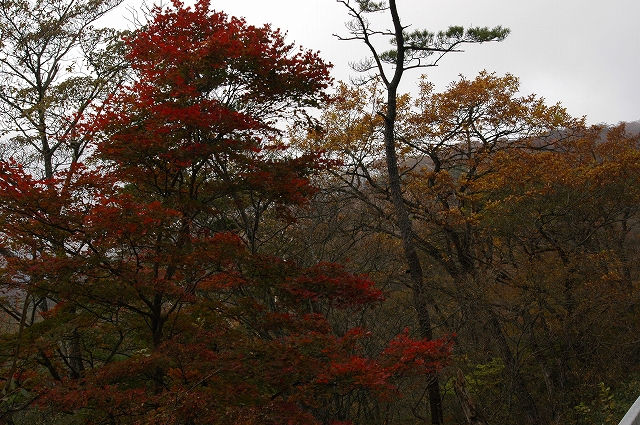 c0212083_17505270.jpg