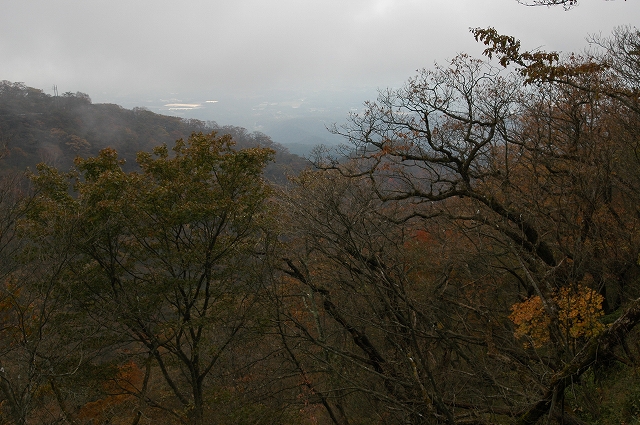 c0212083_1752076.jpg