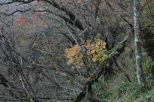 c0212083_17522315.jpg