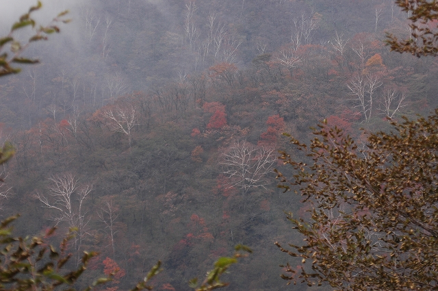 c0212083_17525476.jpg