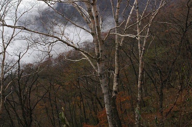 c0212083_17532715.jpg