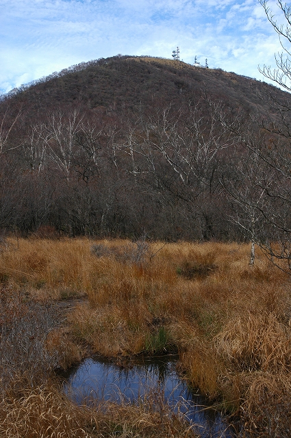 c0212083_17543576.jpg