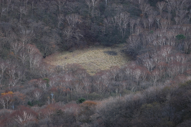c0212083_17574797.jpg