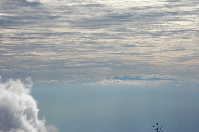 c0212083_184895.jpg