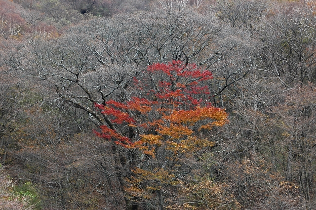 c0212083_1854976.jpg