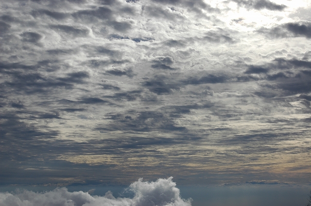 c0212083_185574.jpg
