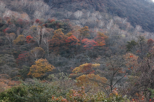 c0212083_186499.jpg