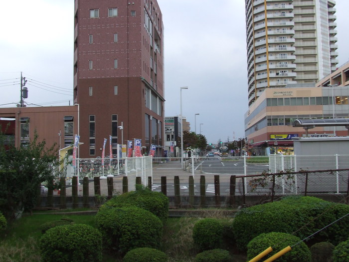 e0202785_16512.jpg