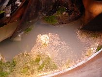 f0169885_719813.jpg