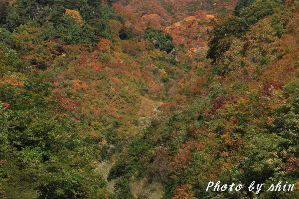 雑魚川林道の紅葉～３_b0189486_9282244.jpg