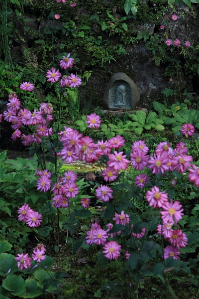 宗蓮寺_e0051888_320362.jpg