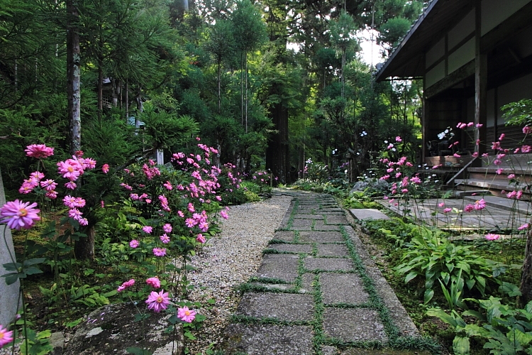 宗蓮寺_e0051888_3265538.jpg