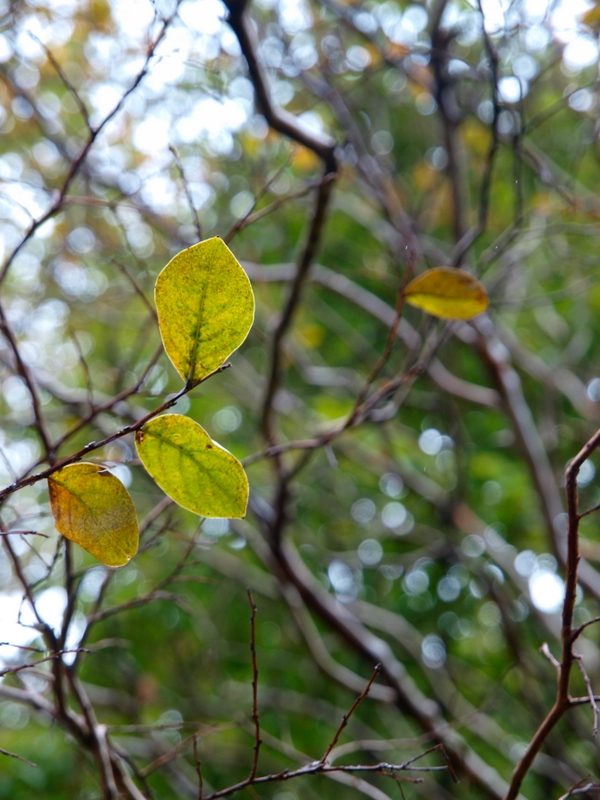 b0138101_22433648.jpg