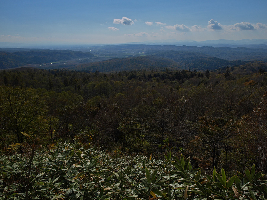 玄武岩（沼田町）　北空知の低山へ　 2010.10.23_f0200402_1813261.jpg