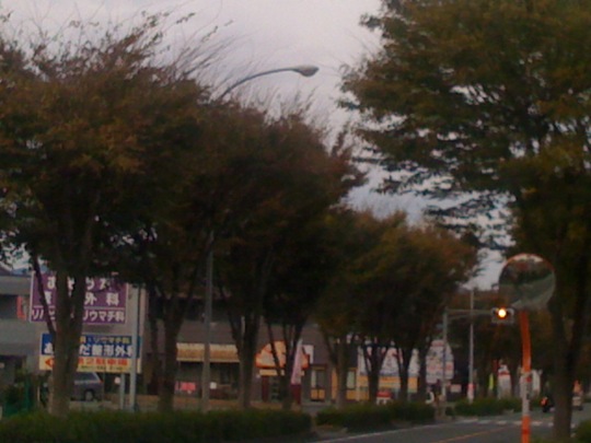 c0052304_9373797.jpg