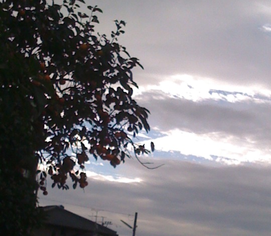 c0052304_9381691.jpg