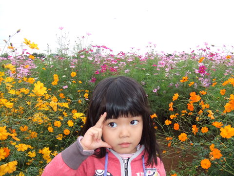 e0147206_0433732.jpg