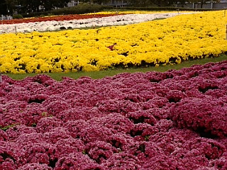 b0197308_23203499.jpg