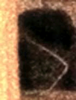 e0103408_20191851.gif